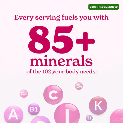 BetterAlt SHE-Lajit Strawberry Honeysticks